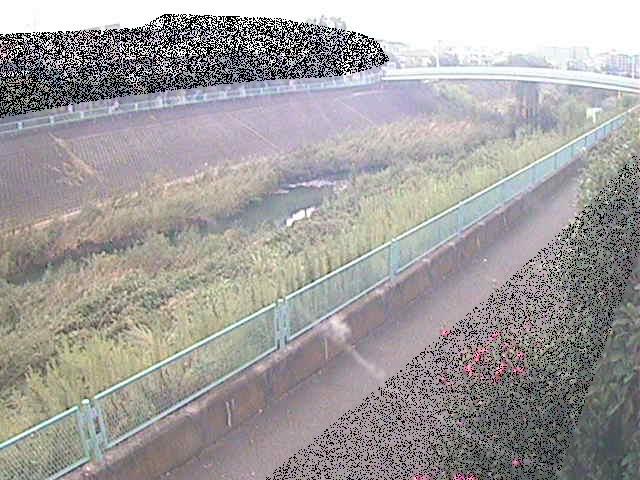 早淵川 高田橋付近のカメラ画像