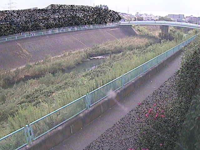 高田橋付近のカメラ画像
