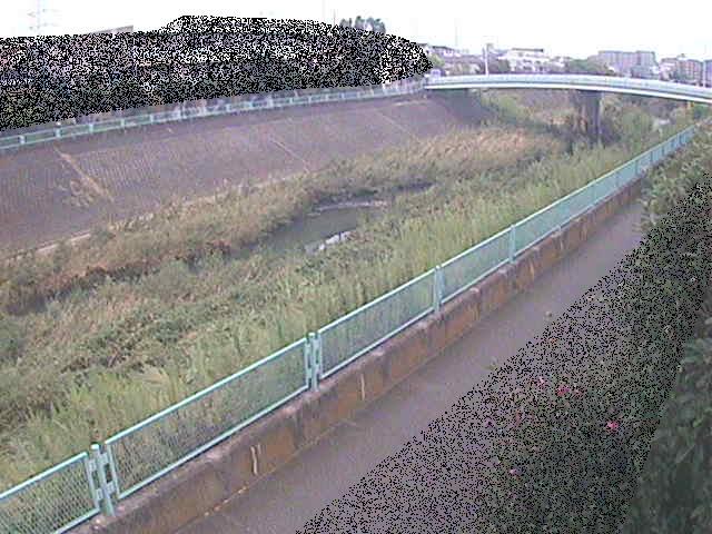 高田橋付近のカメラ画像