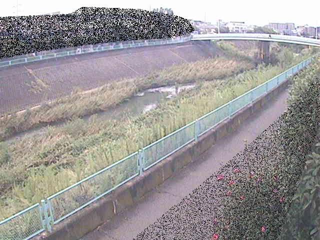高田橋付近のカメラ画像