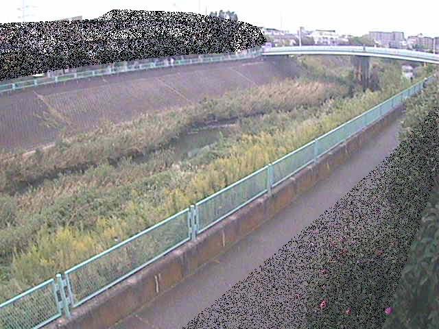 早淵川 高田橋付近のカメラ画像
