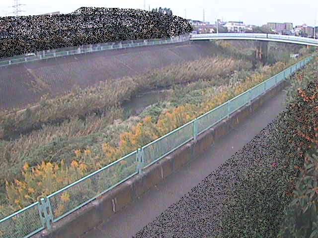 早淵川 高田橋付近のカメラ画像