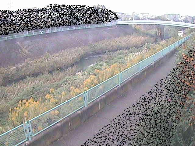 早淵川 高田橋付近のカメラ画像