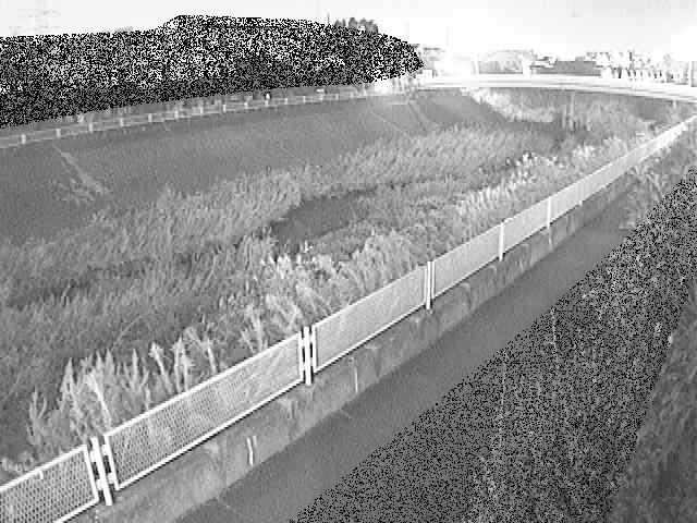 早淵川 高田橋付近のカメラ画像