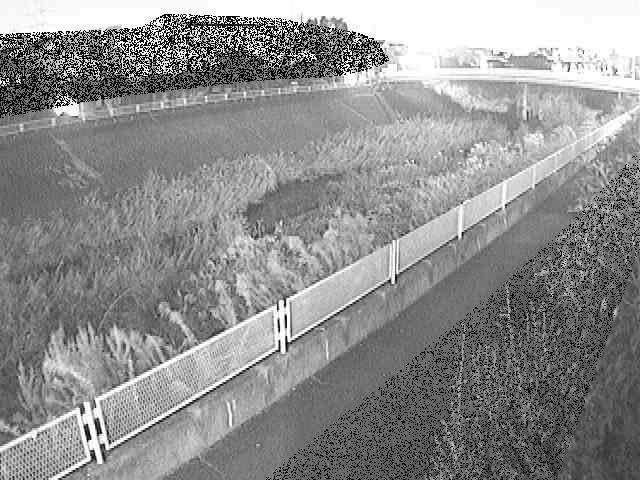 高田橋付近のカメラ画像