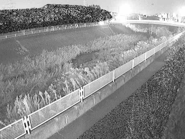 高田橋付近のカメラ画像