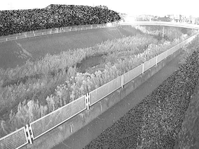 高田橋付近のカメラ画像