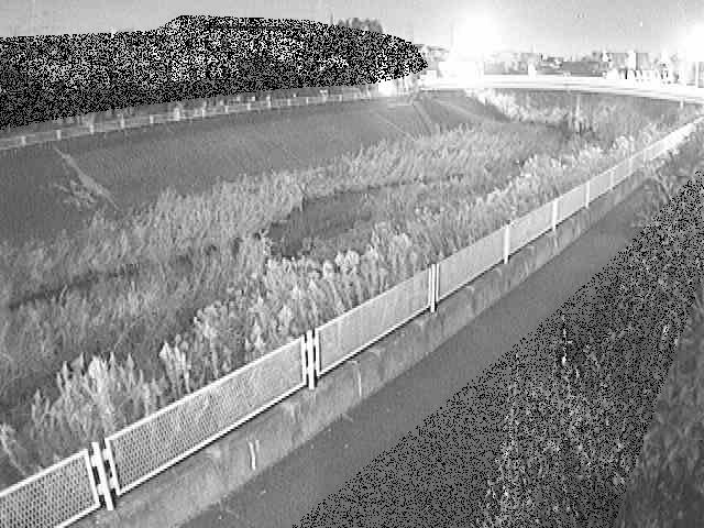 早淵川 高田橋付近のカメラ画像