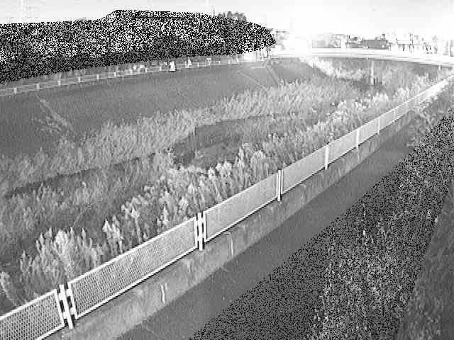 早淵川 高田橋付近のカメラ画像