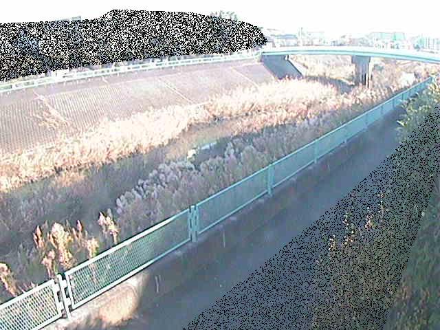 高田橋付近のカメラ画像