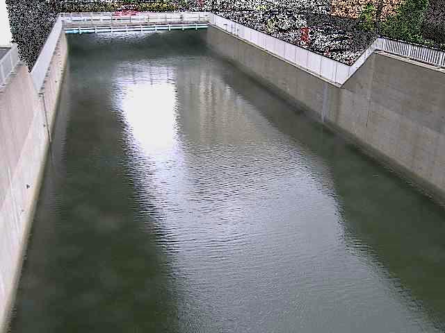 大岡川分水路 屏風ヶ浦橋付近のカメラ画像
