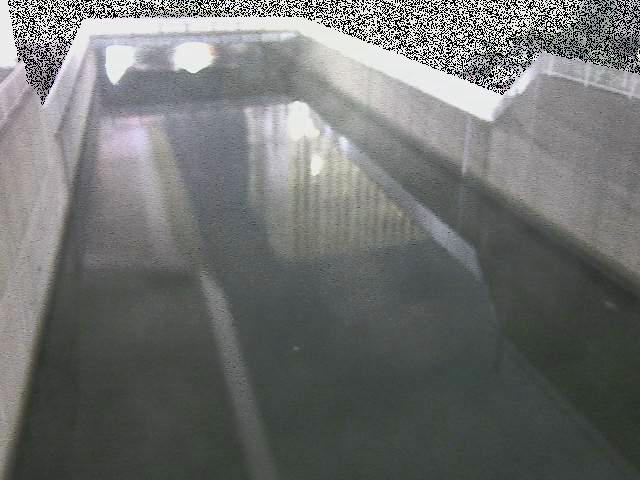 大岡川分水路 屏風ヶ浦橋付近のカメラ画像