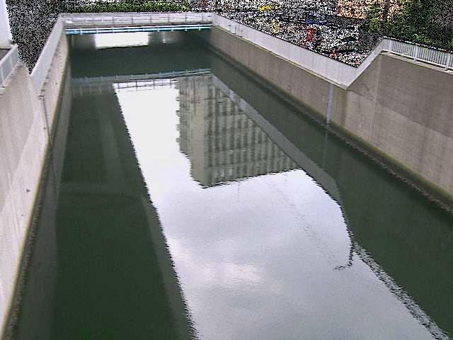 大岡川分水路 屏風ヶ浦橋付近のカメラ画像