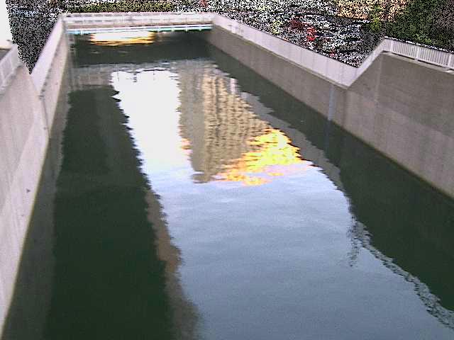 大岡川分水路 屏風ヶ浦橋付近のカメラ画像