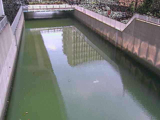 大岡川分水路 屏風ヶ浦橋付近のカメラ画像