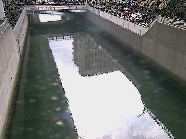 大岡川分水路 屏風ヶ浦橋付近のカメラ画像