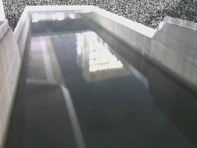 大岡川分水路 屏風ヶ浦橋付近のカメラ画像