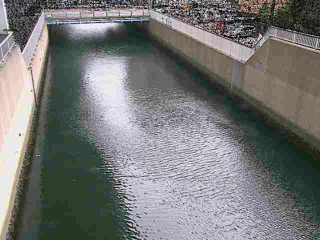 大岡川分水路 屏風ヶ浦橋付近のカメラ画像