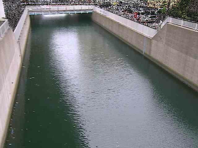 大岡川分水路 屏風ヶ浦橋付近のカメラ画像