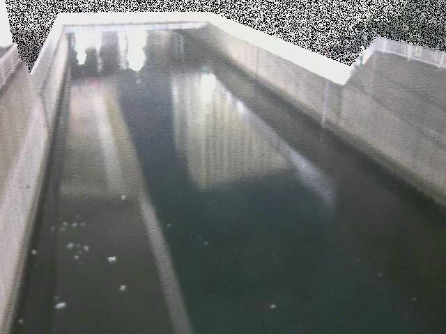 屏風ヶ浦橋付近のカメラ画像