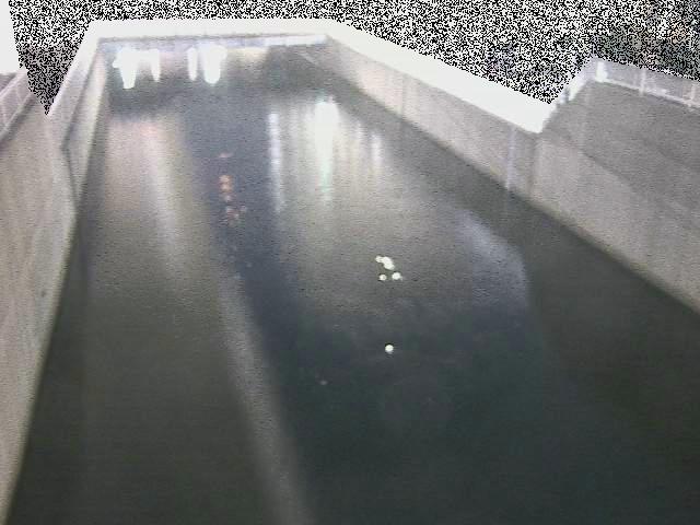 大岡川分水路 屏風ヶ浦橋付近のカメラ画像