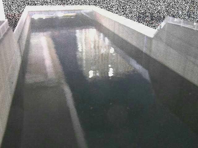 大岡川分水路 屏風ヶ浦橋付近のカメラ画像