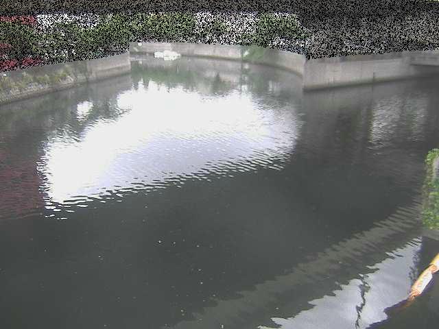 中村川 蒔田公園付近のカメラ画像