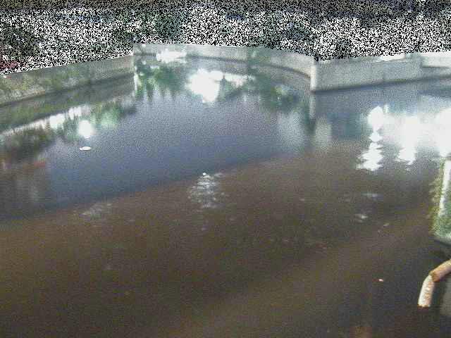 中村川 蒔田公園付近のカメラ画像