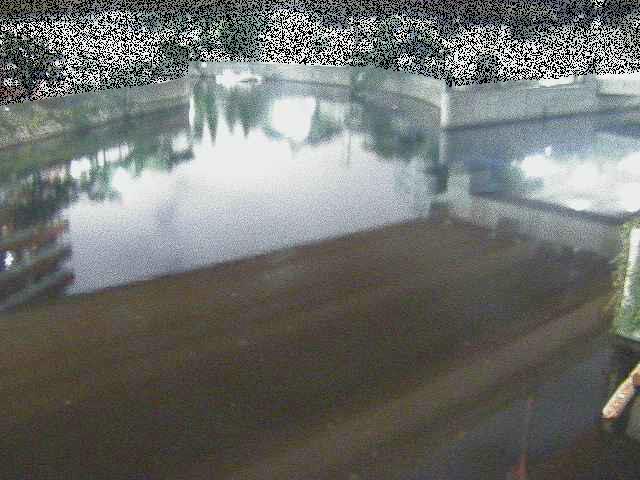 中村川 蒔田公園付近のカメラ画像