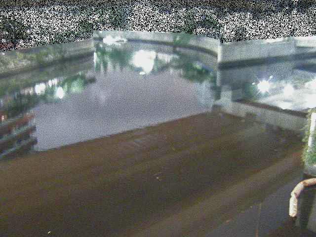 中村川 蒔田公園付近のカメラ画像