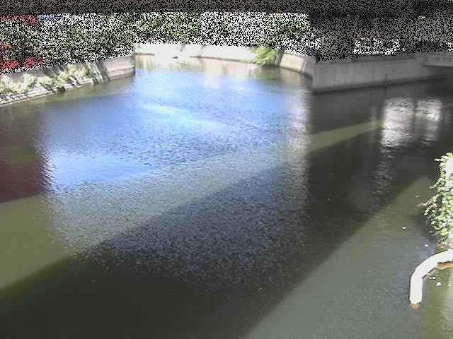 蒔田公園付近のカメラ画像