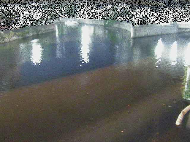 蒔田公園付近のカメラ画像