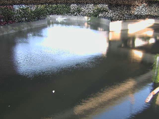 中村川 蒔田公園付近のカメラ画像