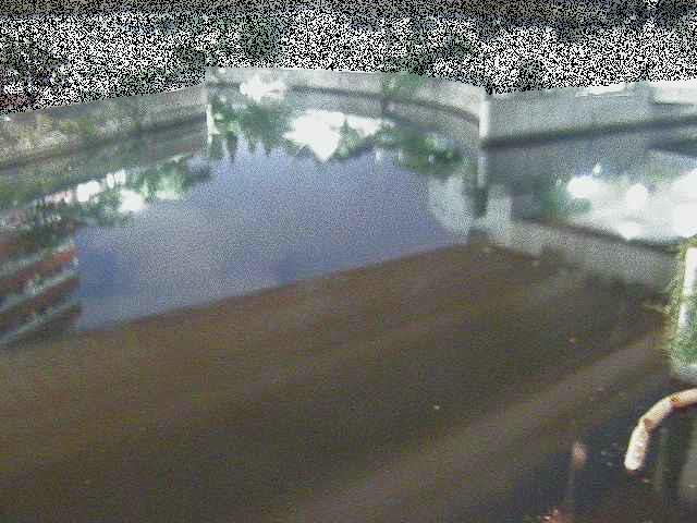 中村川 蒔田公園付近のカメラ画像