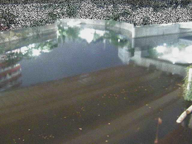 蒔田公園付近のカメラ画像