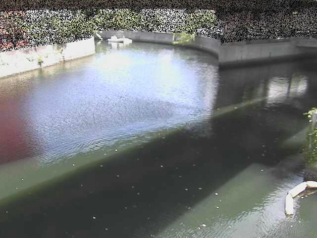 中村川 蒔田公園付近のカメラ画像