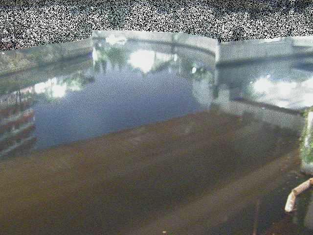 中村川 蒔田公園付近のカメラ画像