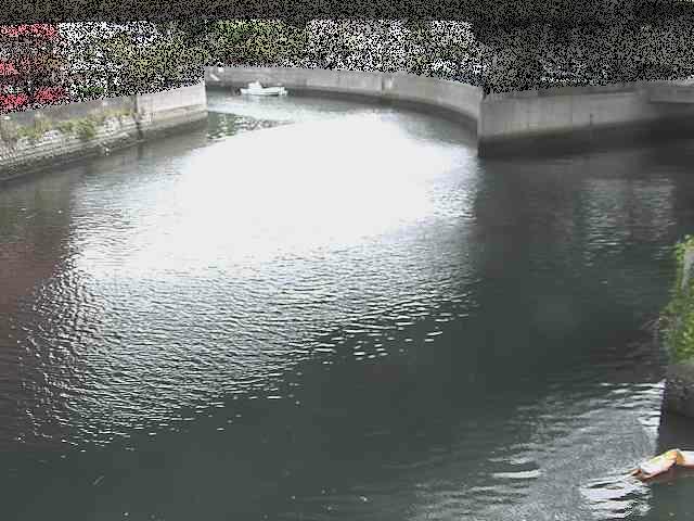中村川 蒔田公園付近のカメラ画像