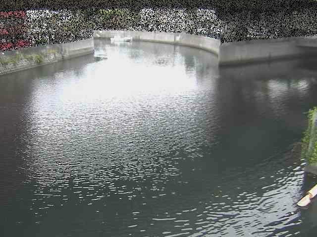 中村川 蒔田公園付近のカメラ画像