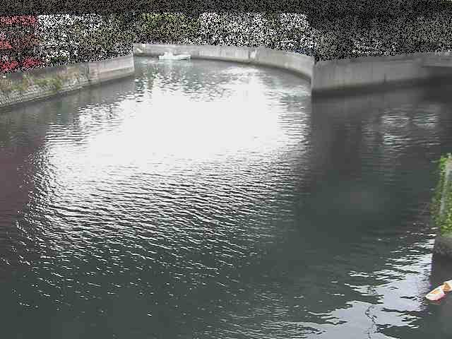 中村川 蒔田公園付近のカメラ画像