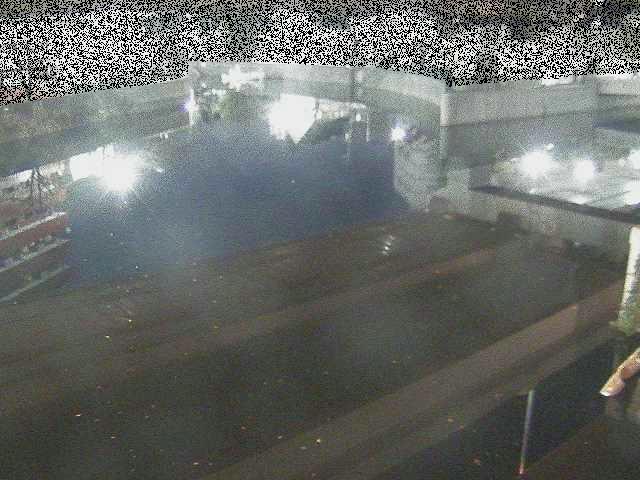 中村川 蒔田公園付近のカメラ画像