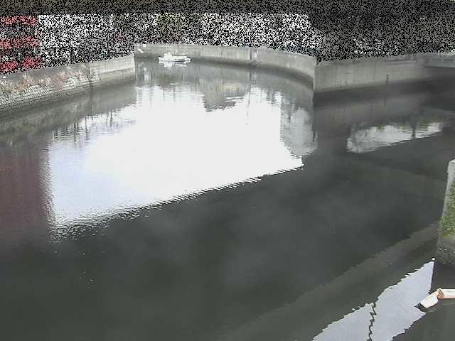 中村川 蒔田公園付近のカメラ画像