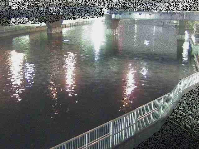 堀割川付近のカメラ画像