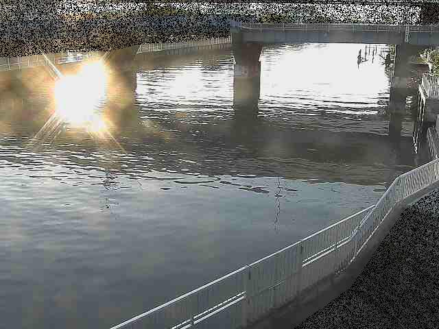 堀割川付近のカメラ画像