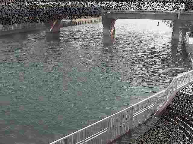 堀割川付近のカメラ画像