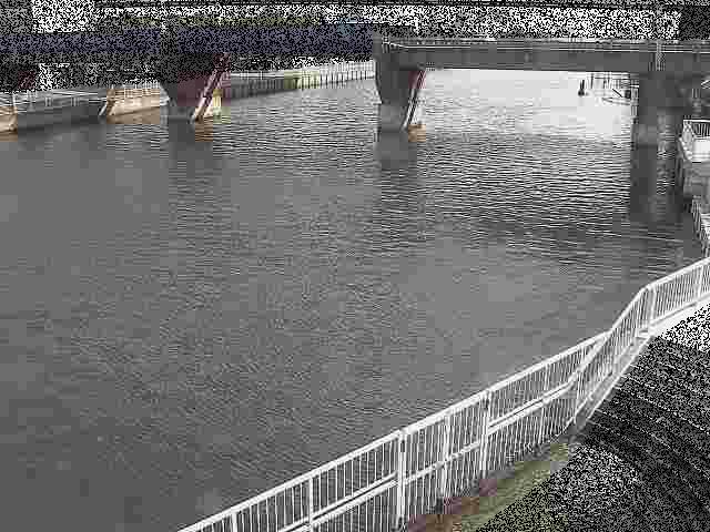 堀割川付近のカメラ画像