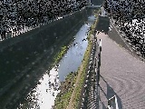 三沢川 天宿橋付近のカメラ画像