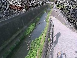 天宿橋付近のカメラ画像