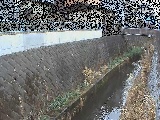 東野川付近のカメラ画像