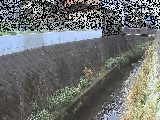 東野川付近のカメラ画像